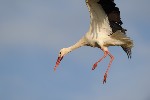 387